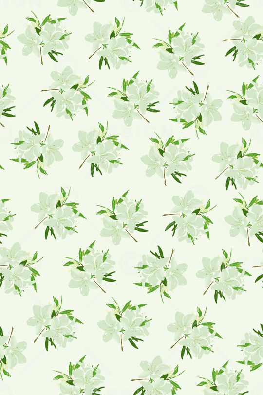 淑女印花华亿平台图片