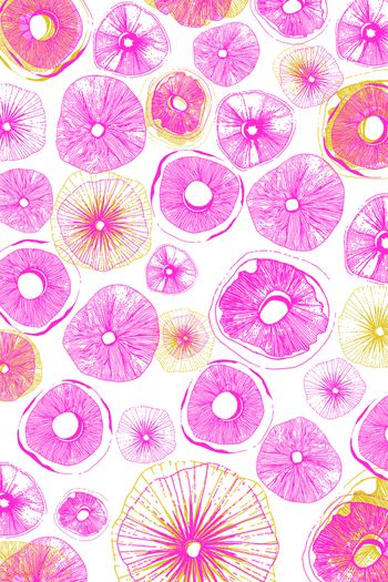 1124649-粉黄西柚