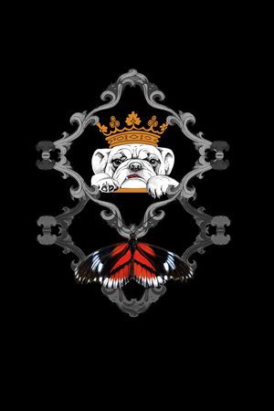 潮牌印花华亿平台图片