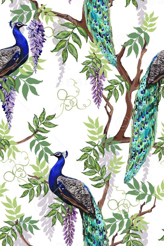 日本印花华亿平台图片