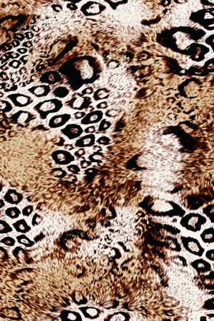 动物印花华亿平台图片