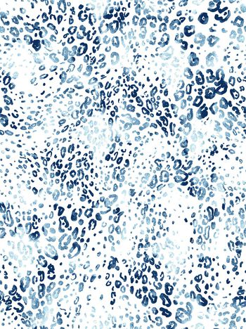 1124889-动物豹纹水纹