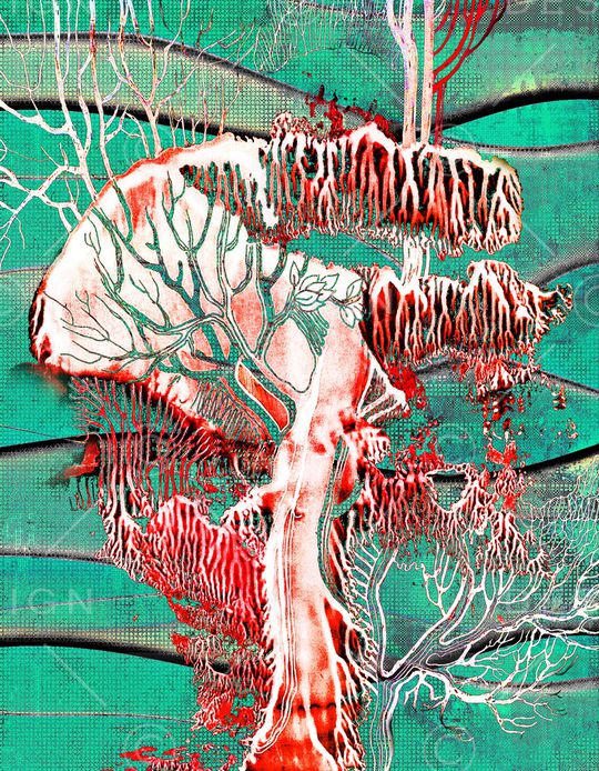 数码定位花印花华亿平台图片