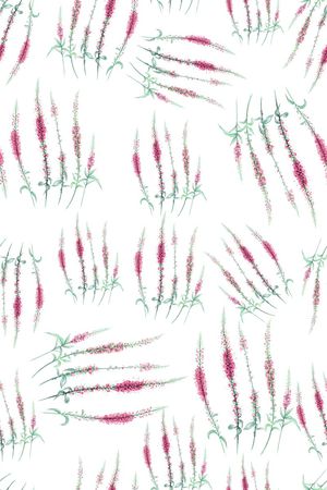 女装印花华亿平台图片