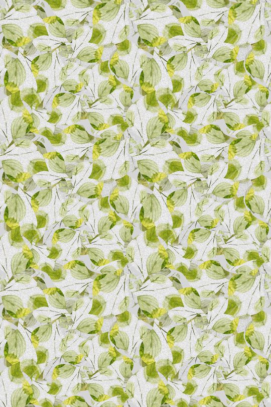 植物印花华亿平台图片