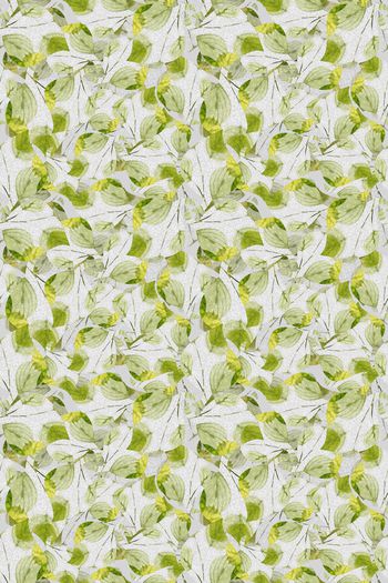 1126143-180928-yz-1-2