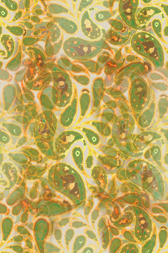 佩斯利图案印花华亿平台图片