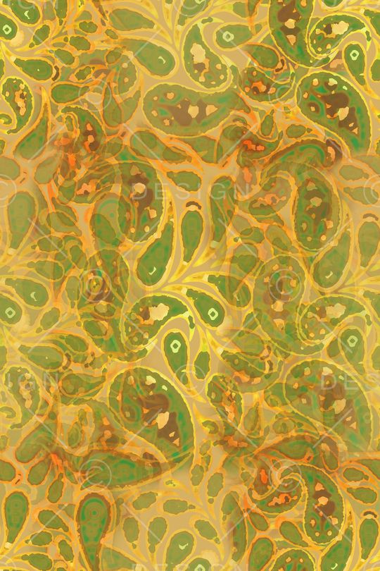 佩斯利图案印花华亿平台图片