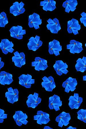 淑女印花华亿平台图片