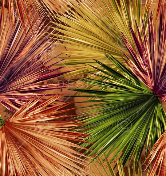 棕榈树印花华亿平台图片