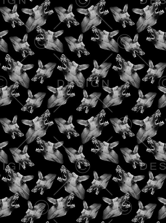 动物印花华亿平台图片