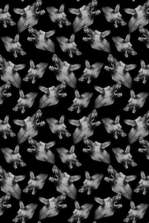 动物印花华亿平台图片