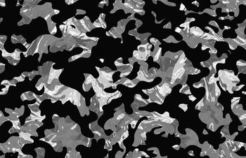 1126677-M18E10-男装迷彩花2-Co