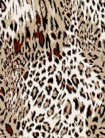 豹纹印花华亿平台图片