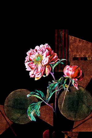 大花印花华亿平台图片