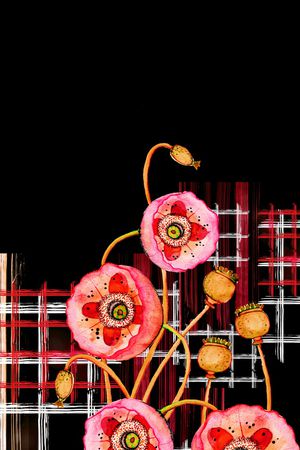 大花印花华亿平台图片