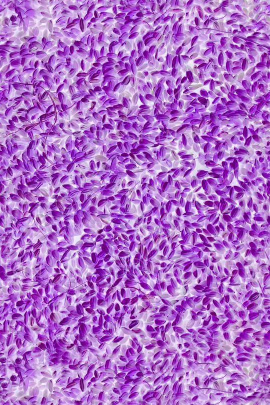 女装印花华亿平台图片