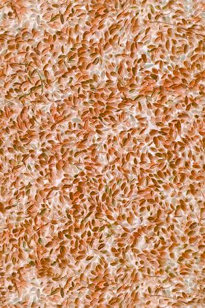 女装印花华亿平台图片