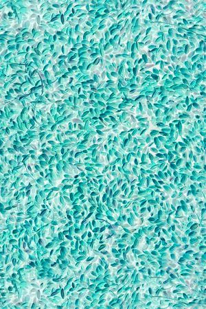 女装印花华亿平台图片