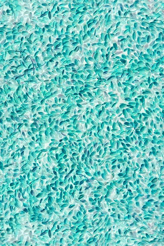 女装印花华亿平台图片