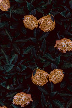 时尚印花华亿平台图片