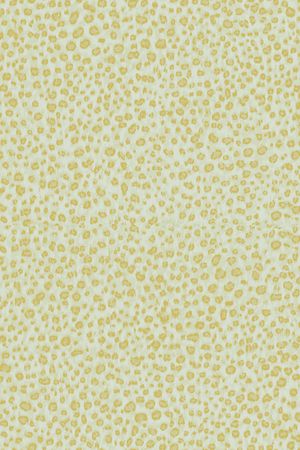 豹纹印花华亿平台图片