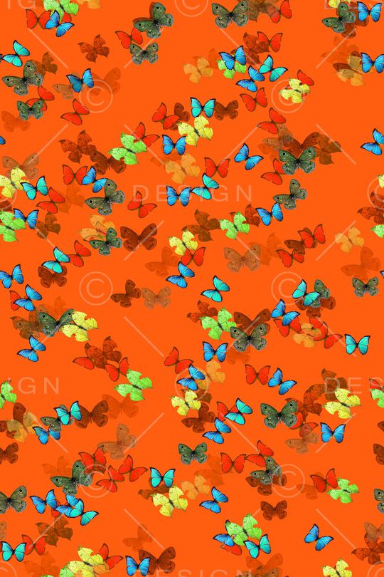 蝴蝶印花华亿平台图片