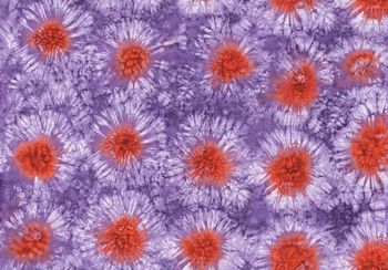 纹理印花华亿平台图片