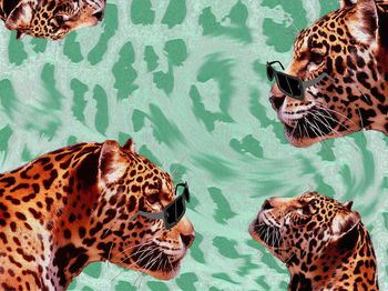 数码华亿平台印花华亿平台图片