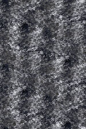 动物纹印花华亿平台图片