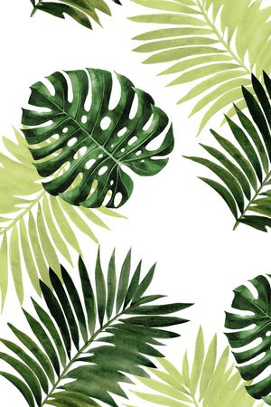 棕榈树印花华亿平台图片