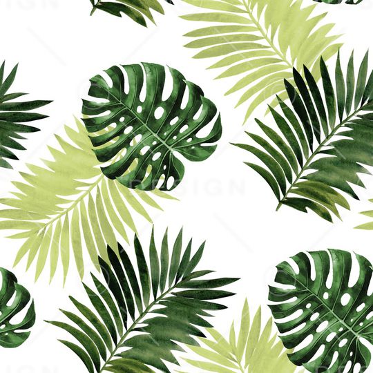 棕榈树印花华亿平台图片