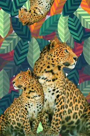 动物印花华亿平台图片