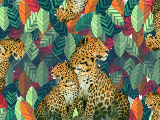 动物印花华亿平台图片