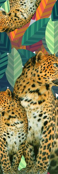 动物印花华亿平台图片