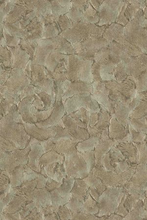 动物印花华亿平台图片