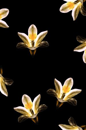 秋冬华亿平台印花华亿平台图片