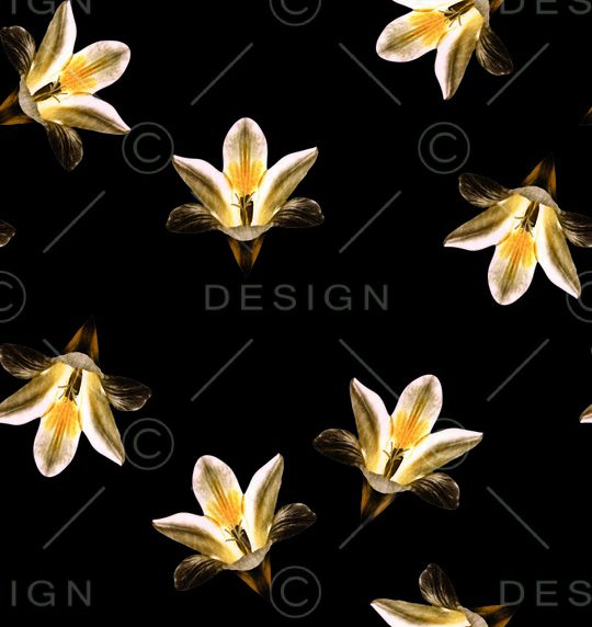 秋冬华亿平台印花华亿平台图片