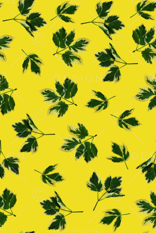 清爽印花华亿平台图片