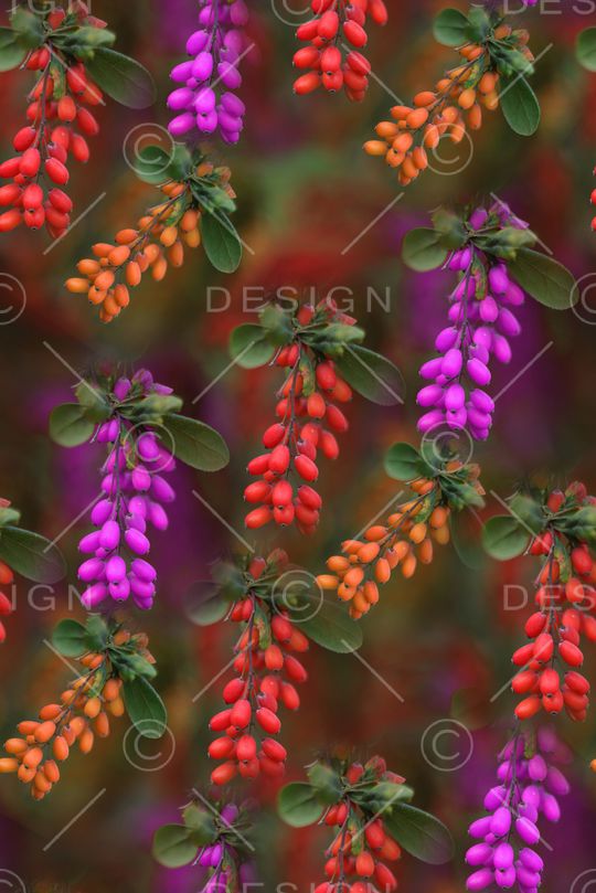 手绘印花华亿平台图片