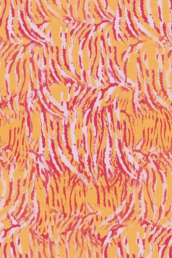 1130828-181102-动物纹-6-2