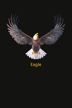 老鹰印花华亿平台图片