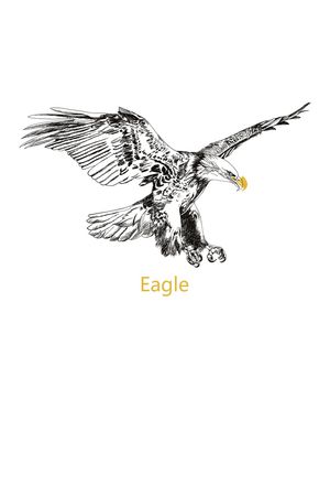 老鹰印花华亿平台图片