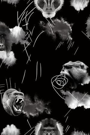 动物印花华亿平台图片