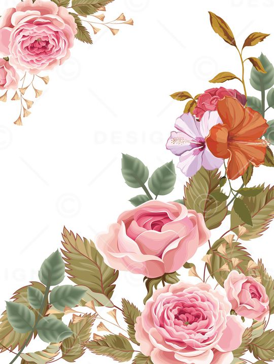 胸前独幅印花华亿平台图片