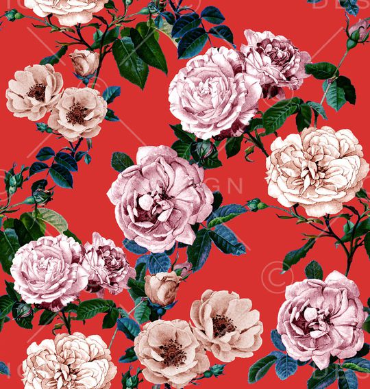 玫瑰花印花华亿平台图片