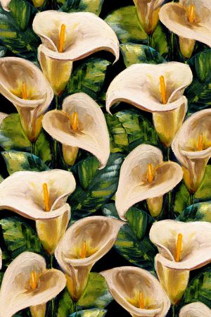 黑底花卉印花华亿平台图片