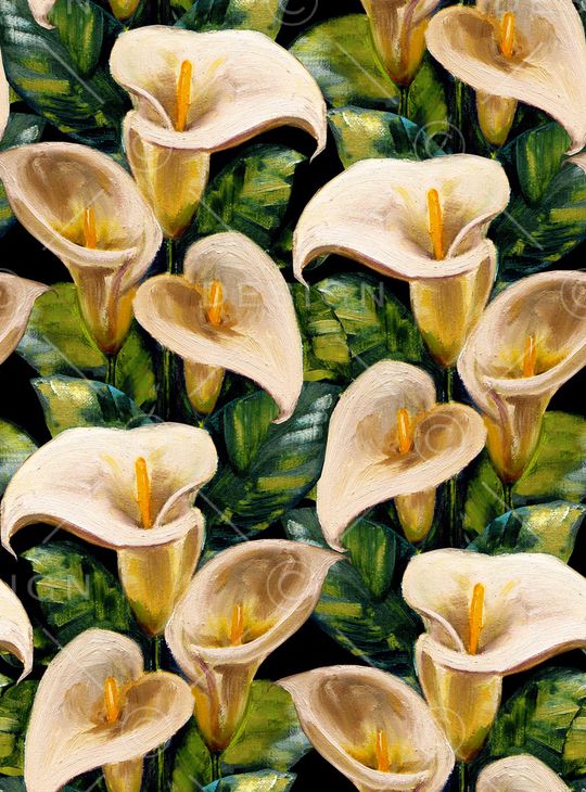 黑底花卉印花华亿平台图片