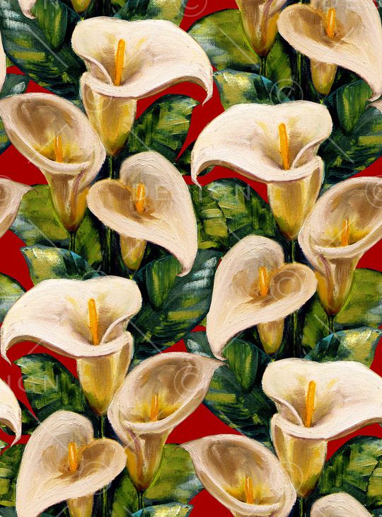 黑底花卉印花华亿平台图片