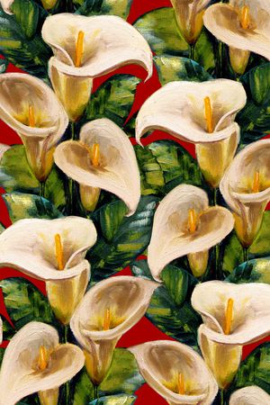 黑底花卉印花华亿平台图片